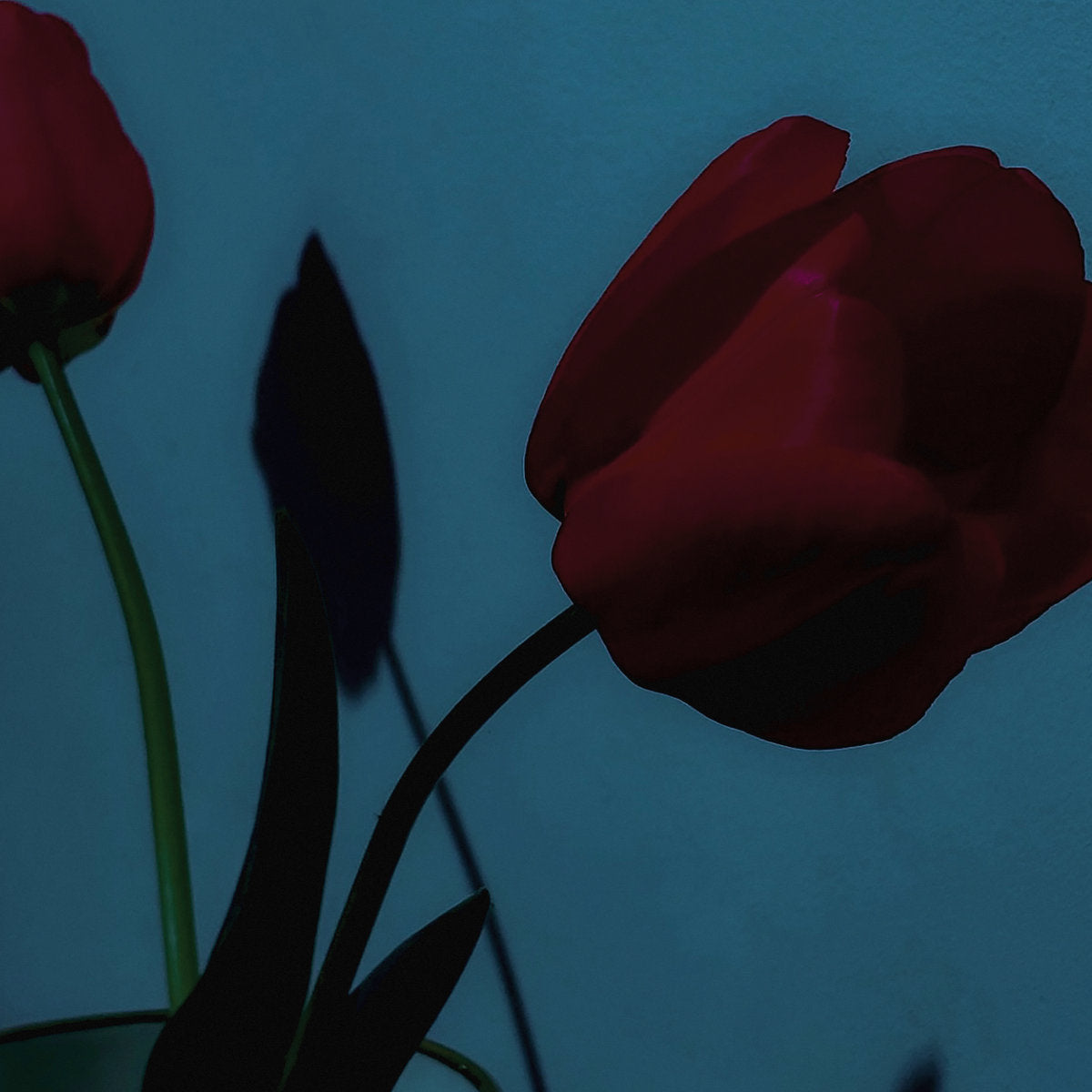 Various Artists - A Model Kit [Platz für Tanz]