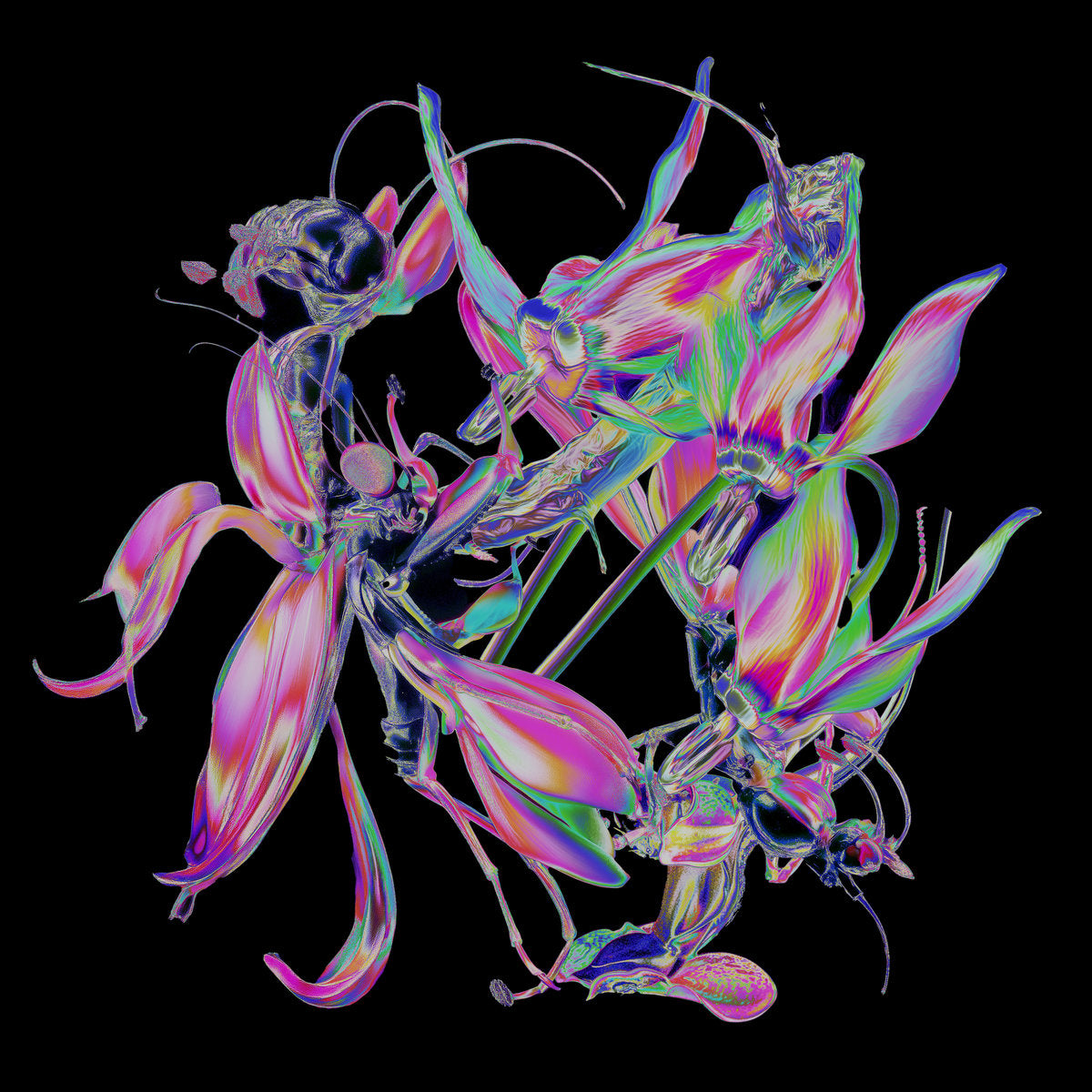 Theo Kottis - Drone [fabric]