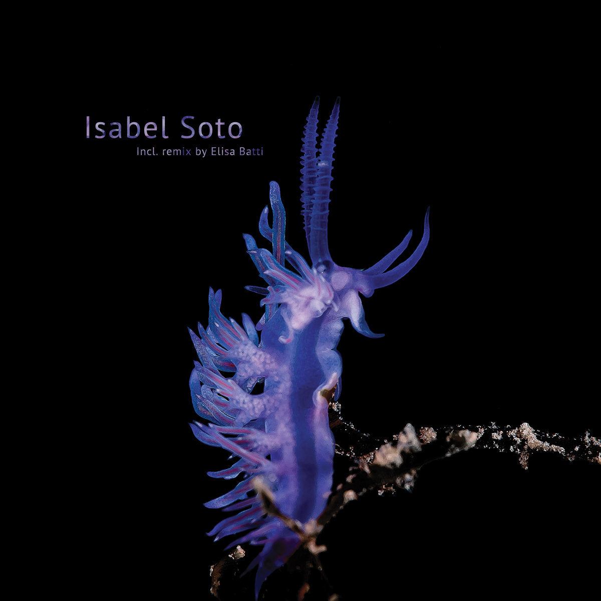 Isabel Soto - Habitat Alteration [Sine Space 7]