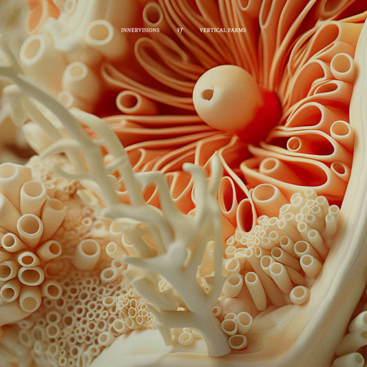 Shiffer, Paul Brenning - We Care EP [Innervisions]