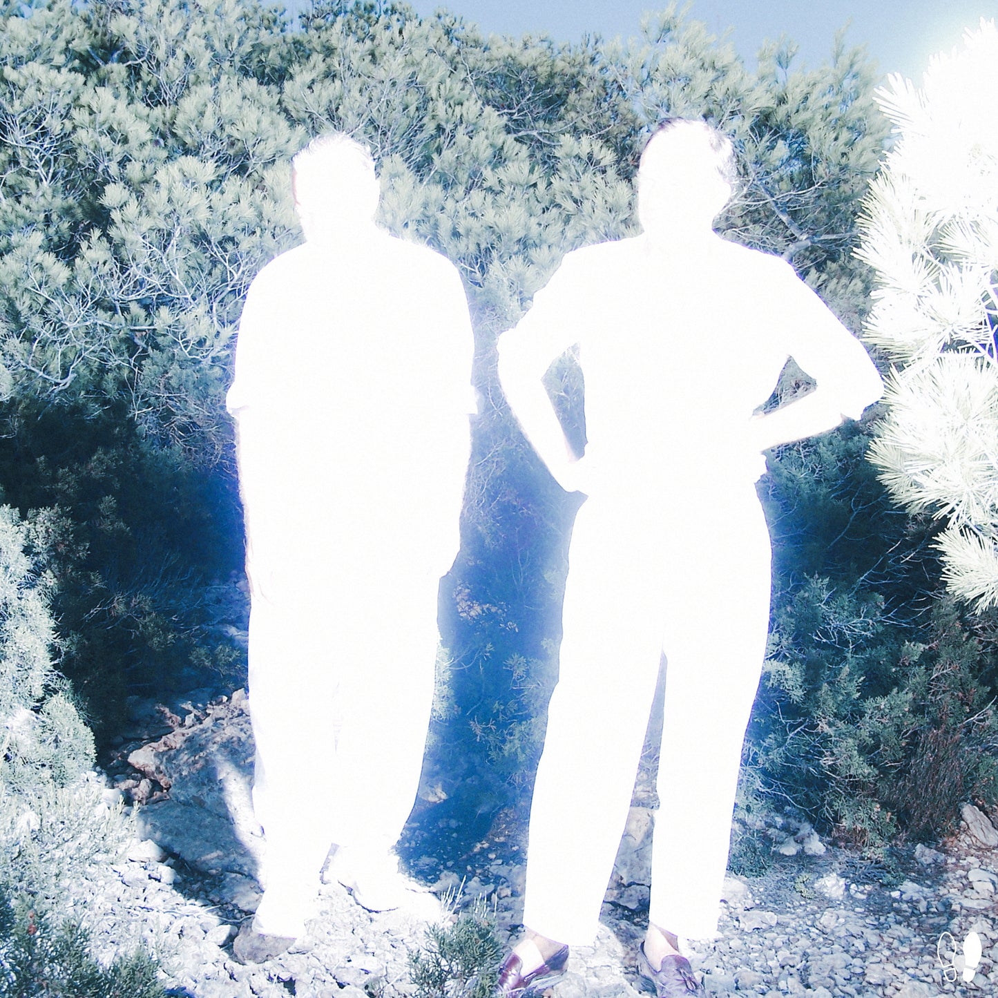 Soulwax - All Systems Are Lying / Run Free (Nite Versions) [DEEWEE]