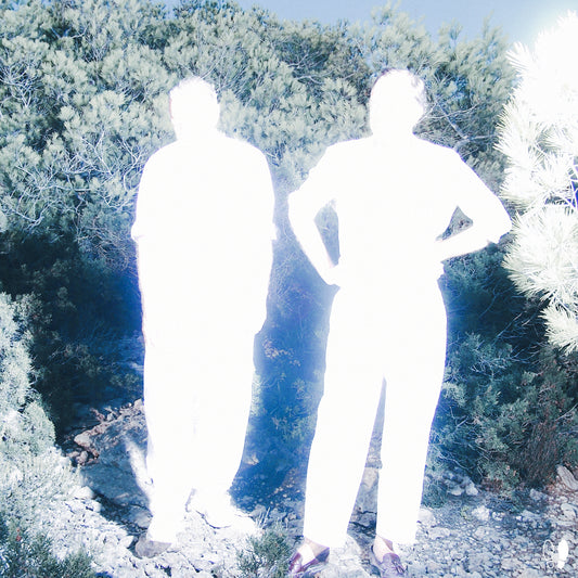 Soulwax - All Systems Are Lying / Run Free (Nite Versions) [DEEWEE]