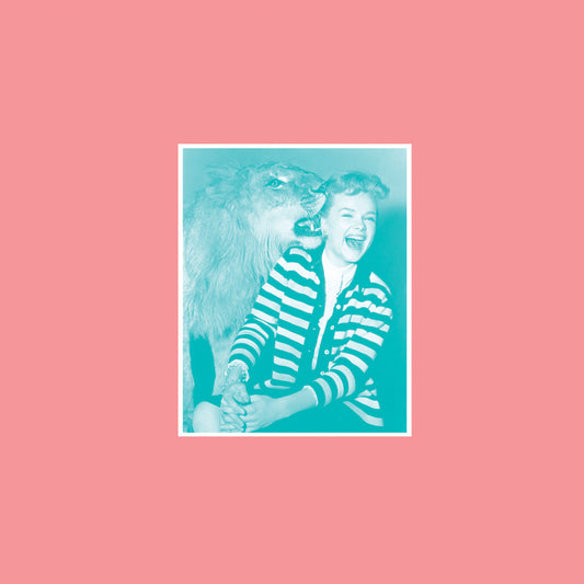 The Revenge - Roar Groove meets Dirt Crew Vol. 4 [Dirt Crew Recordings]