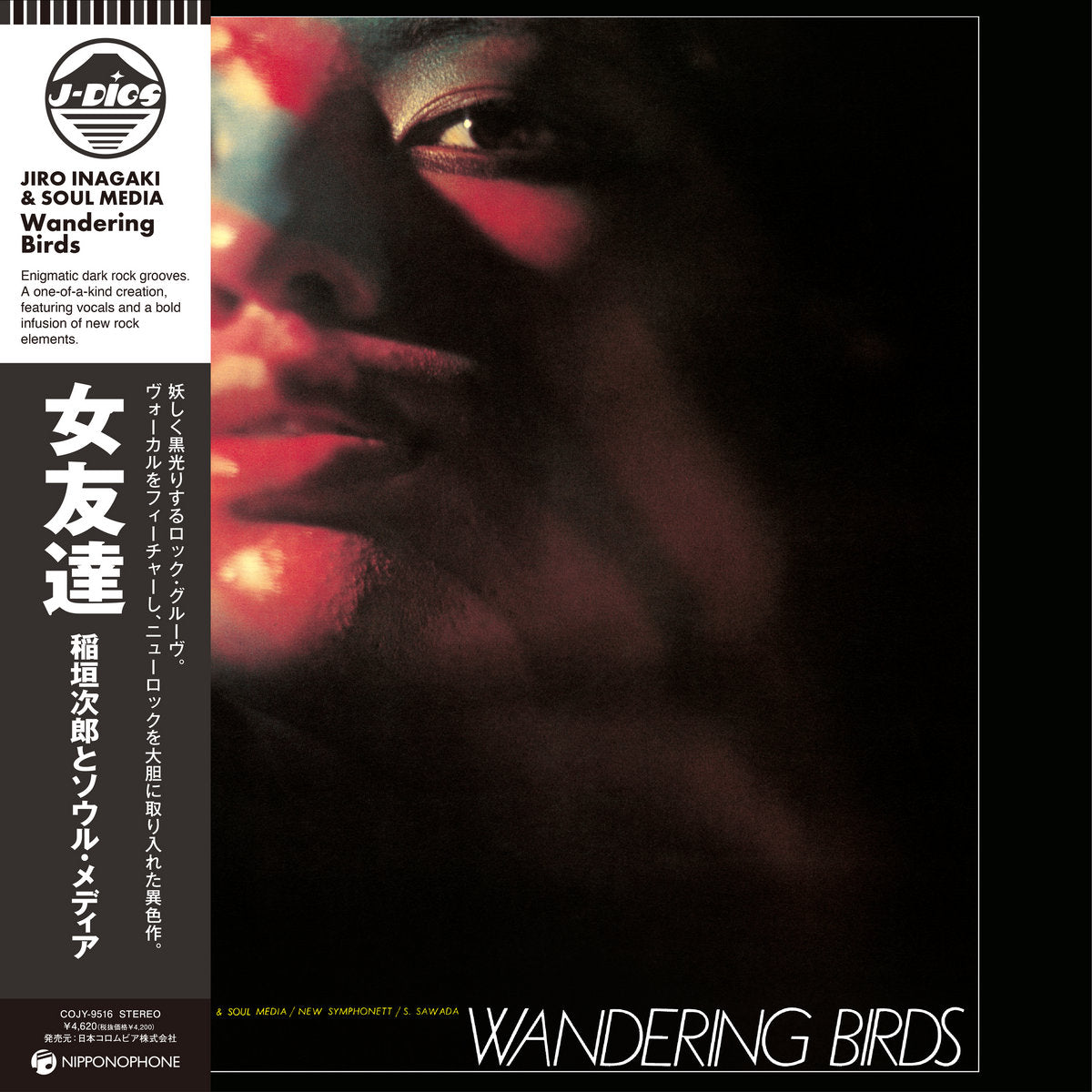 Jiro Inagaki & Soul Media - Wandering Birds [Nipponophone]