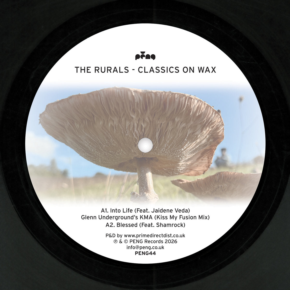 The Rurals - Classics On Wax [Peng]