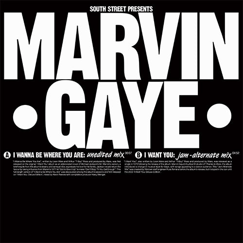 Marvin Gaye - I Wanna Be Where You Are / I Want You [South Street]