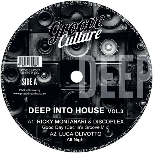 Ricky Montanari & Discoplex / Luca Olivotto / Gianni Bini - Deep Into House Vol.3 [Groove Culture Deep]