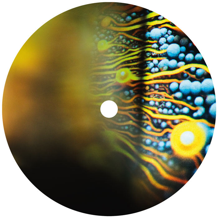 Joris Voorn Serotonin (2LP) [Armada]