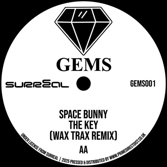 Radical Chic / Space Bunny In Da Shadows (Terry Francis Remix) / The Key (Wax Trax Remix) [GEMS]