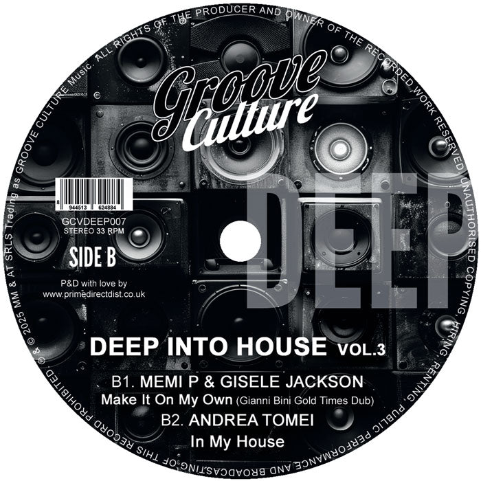Ricky Montanari & Discoplex / Luca Olivotto / Gianni Bini - Deep Into House Vol.3 [Groove Culture Deep]