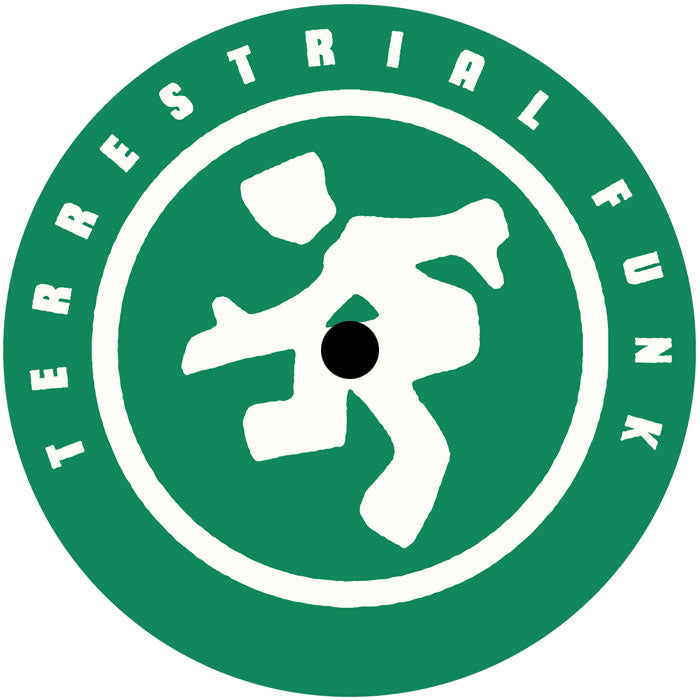 Insight Featuring Ashaye - Spring EP [Terrestrial Funk]