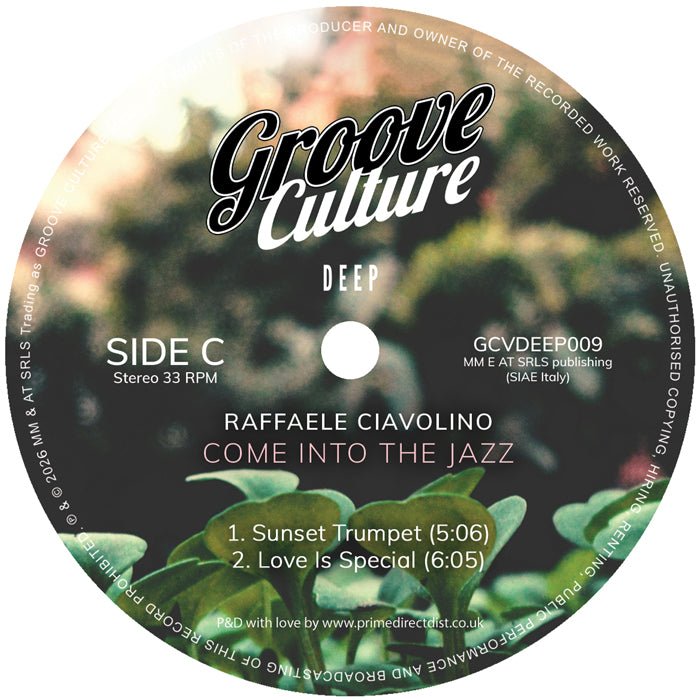 Raffaele Ciavolino - Come Into The Jazz (2LP) [Groove Culture]